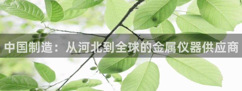 云顶国际赌彩公司下载：中国制造：从河北到全球的金属仪器供应商
