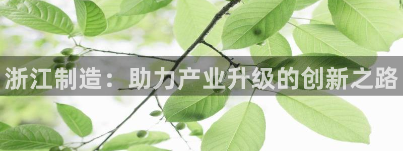 云顶国际日本：浙江制造：助力产业升级的创新之路