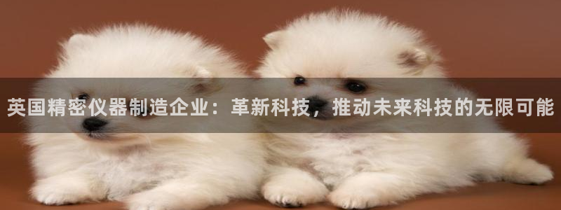 禹州云顶国际二手房：英国精密仪器制造企业：革新科技，推动未来