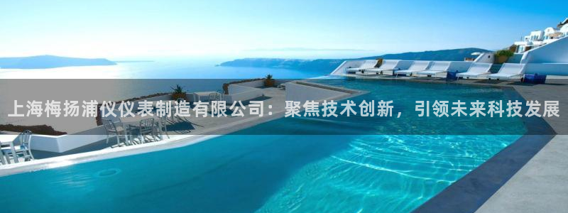 云顶国际商业广场A座101：上海梅扬浦仪仪表制造有限公司：聚