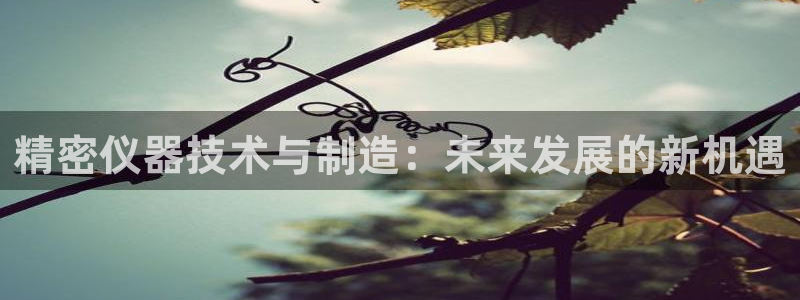 山西省太原市云顶国际酒店：精密仪器技术与制造：未来发展的新机