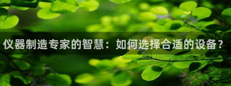 云顶国际服mac汉化