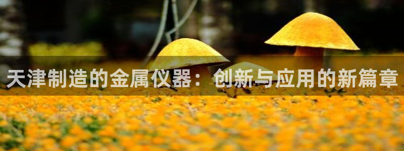 云顶国际版