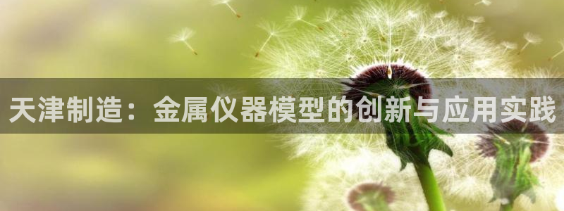 云顶国际钱取不出来：天津制造：金属仪器模型的创新与应用实践