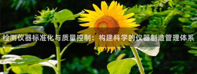 云顶国际服和端游互通吗
