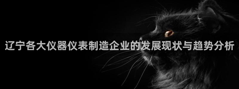 云顶集团网站注册：辽宁各大仪器仪表制造企业的发展现状与趋势分