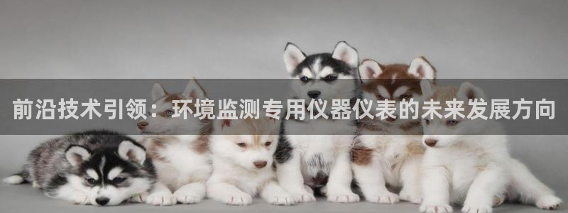 云顶集团进入官网首页：前沿技术引领：环境监测专用仪器仪表的未