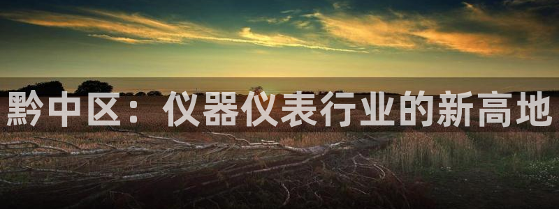 云顶集团网投领：黔中区：仪器仪表行业的新高地