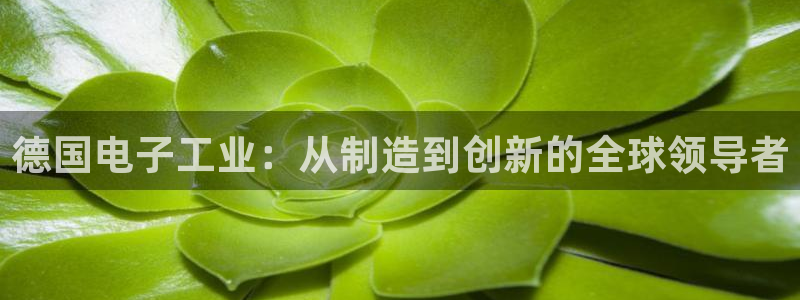 云顶国际的网址是多少啊：德国电子工业：从制造到创新的全球领导