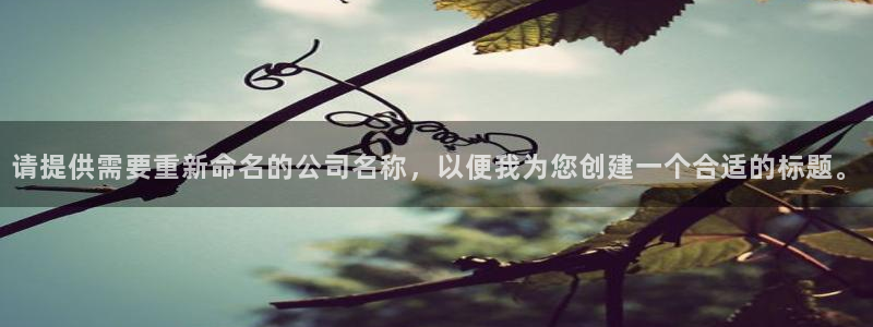 云顶国际二手房价格走势：请提供需要重新命名的公司名称，以便我