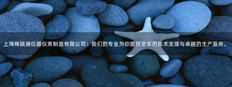 云顶国际俱乐部官网：上海梅颖浦仪器仪表制造有限公司：我们的专