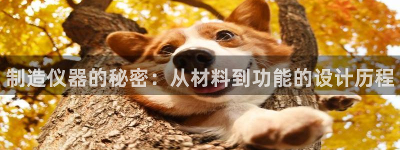 云顶国际图片