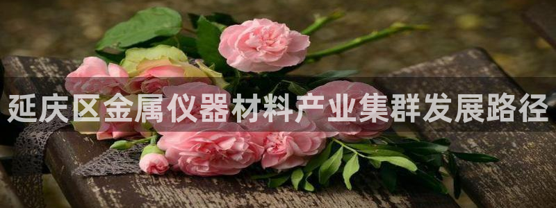 云顶国际服最新版：延庆区金属仪器材料产业集群发展路径