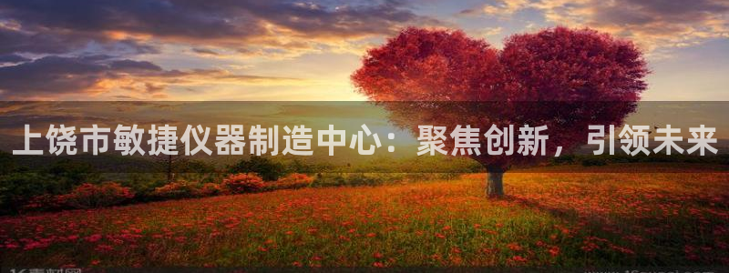 云顶平台网址：上饶市敏捷仪器制造中心：聚焦创新，引领未来