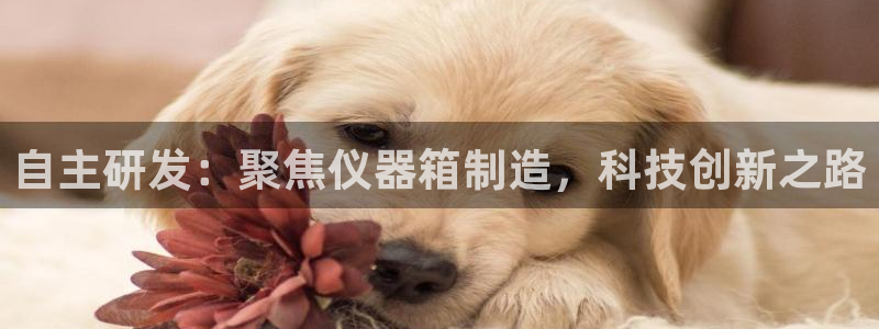云顶国际服s10什么时候更新：自主研发：聚焦仪器箱制造，科技