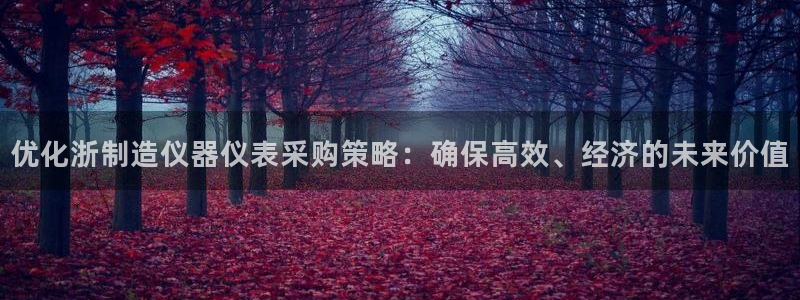 yd2333云顶：优化浙制造仪器仪表采购策略：确保高效、经济