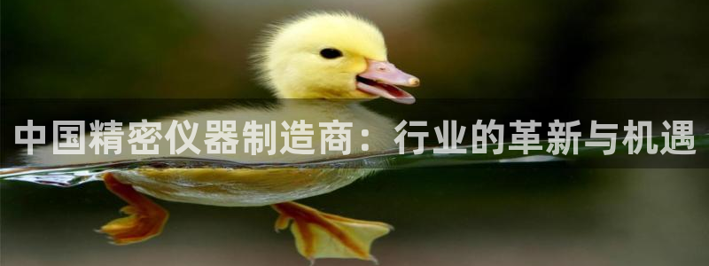 云顶国际培训机构：中国精密仪器制造商：行业的革新与机遇