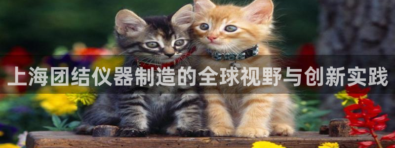 云顶国际婚礼大酒店位于哪里