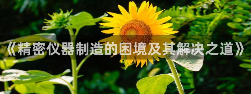 云顶国际App：《精密仪器制造的困境及其解决之道》