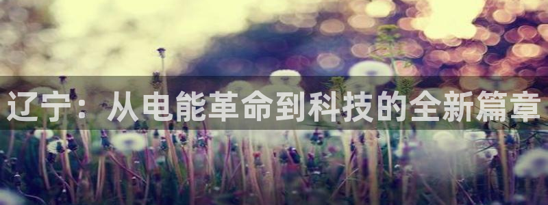 云顶国际服在哪下载：辽宁：从电能革命到科技的全新篇章