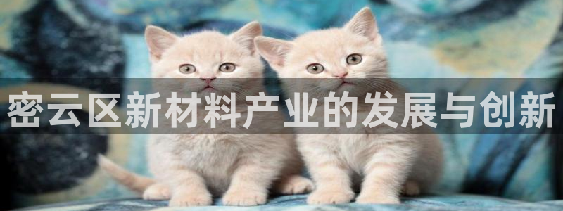 云顶国际服s10：密云区新材料产业的发展与创新
