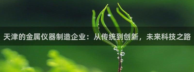 云顶集团大少爷是谁：天津的金属仪器制造企业：从传统到创新，未