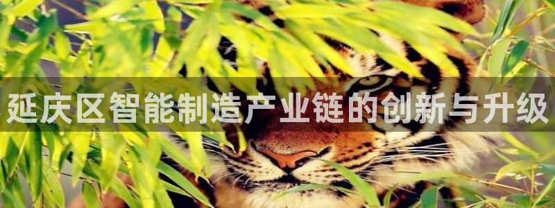 云顶国际大酒店有外卖吗：延庆区智能制造产业链的创新与升级