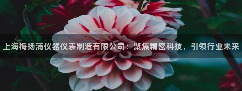 云顶国际提现多久到账户：上海梅扬浦仪器仪表制造有限公司：聚焦