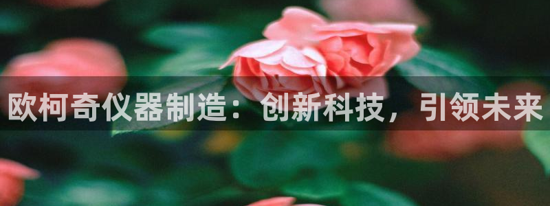 云顶400：欧柯奇仪器制造：创新科技，引领未来