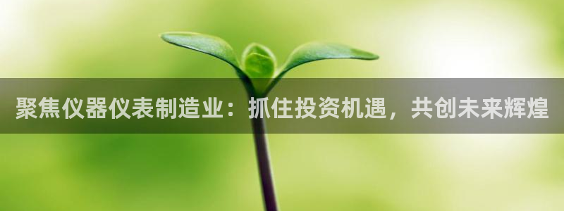 云顶国际广场房价：聚焦仪器仪表制造业：抓住投资机遇，共创未来