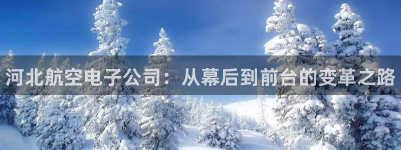 云顶国际服注册流程：河北航空电子公司：从幕后到前台的变革之路