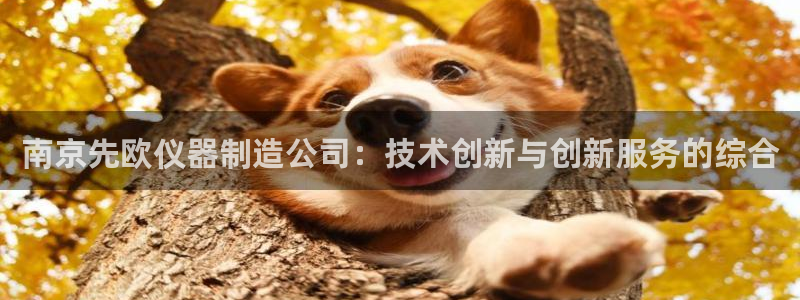 云顶国际平台是黑平台吗还是白平：南京先欧仪器制造公司：技术创