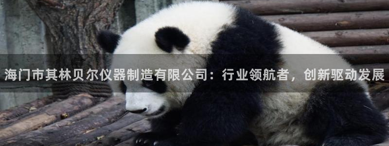 云顶国际下载安装：海门市其林贝尔仪器制造有限公司：行业领航者