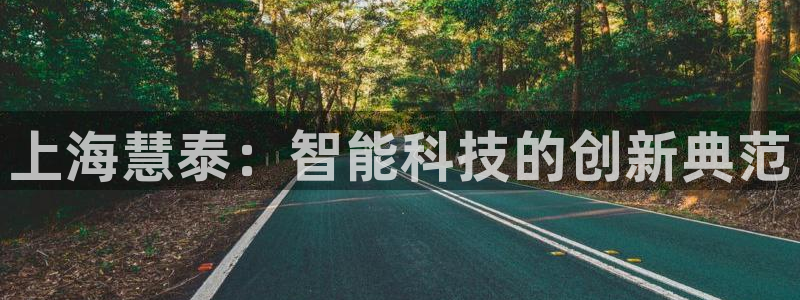 云顶国际官网官方客服：上海慧泰：智能科技的创新典范
