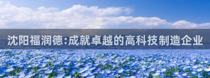 云顶国际服更新了吗：沈阳福润德:成就卓越的高科技制造企业