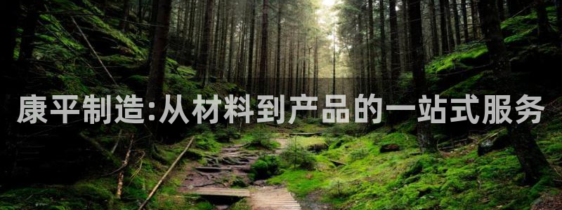 云顶线路快速检测中心：康平制造:从材料到产品的一站式服务