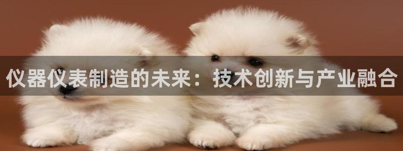 云顶国际服什么时候更新s10的：仪器仪表制造的未来：技术创新