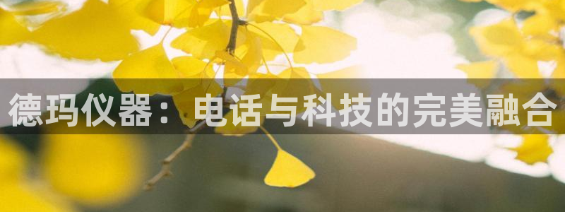 云顶国际服s10什么时候更新：德玛仪器：电话与科技的完美融合