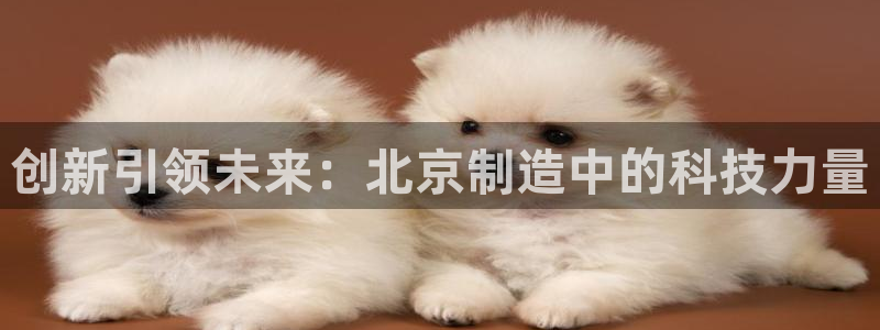 云顶国际app手机版下载安装：创新引领未来：北京制造中的科技