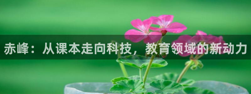云顶国际二手房出售最新信息：赤峰：从课本走向科技，教育领域的