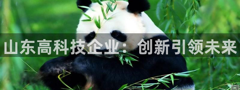 云顶国际大酒店位于哪里：山东高科技企业：创新引领未来