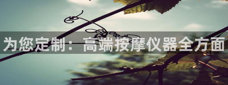 云顶国际服修改不了传说装备：为您定制：高端按摩仪器全方面