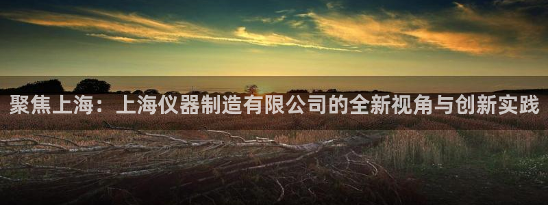 云顶集团网站是多少：聚焦上海：上海仪器制造有限公司的全新视角