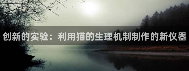 云顶国际商业广场a座101楼：创新的实验：利用猫的生理机制制