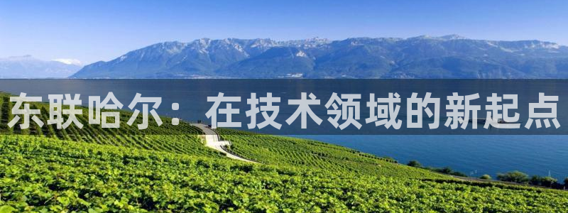 云顶国际公馆是公寓吗：东联哈尔：在技术领域的新起点