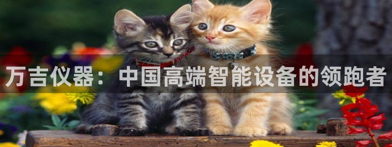 云顶国际培训中心电话：万吉仪器：中国高端智能设备的领跑者