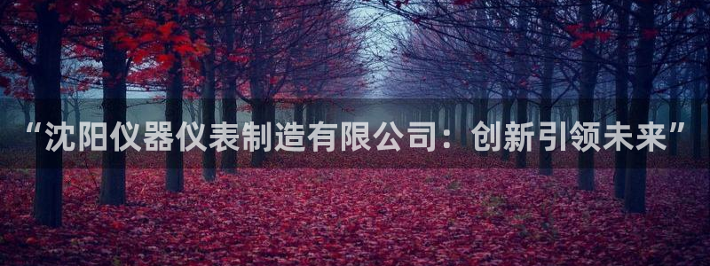 云顶国际集团游戏官网：“沈阳仪器仪表制造有限公司：创新引领未