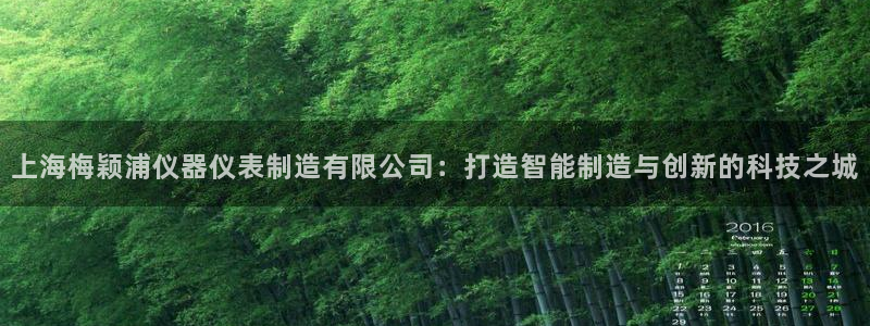 云顶国际服几个月不玩能不能登录：上海梅颖浦仪器仪表制造有限公