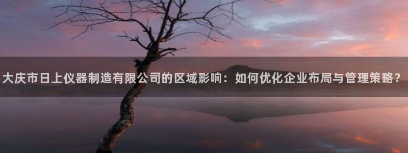 云顶国际培训机构：大庆市日上仪器制造有限公司的区域影响：如何