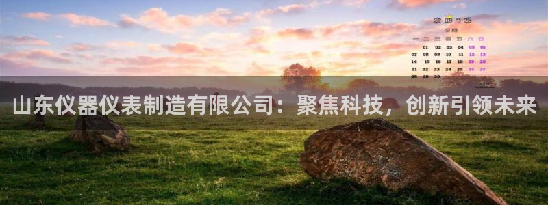 登录云顶集团：山东仪器仪表制造有限公司：聚焦科技，创新引领未